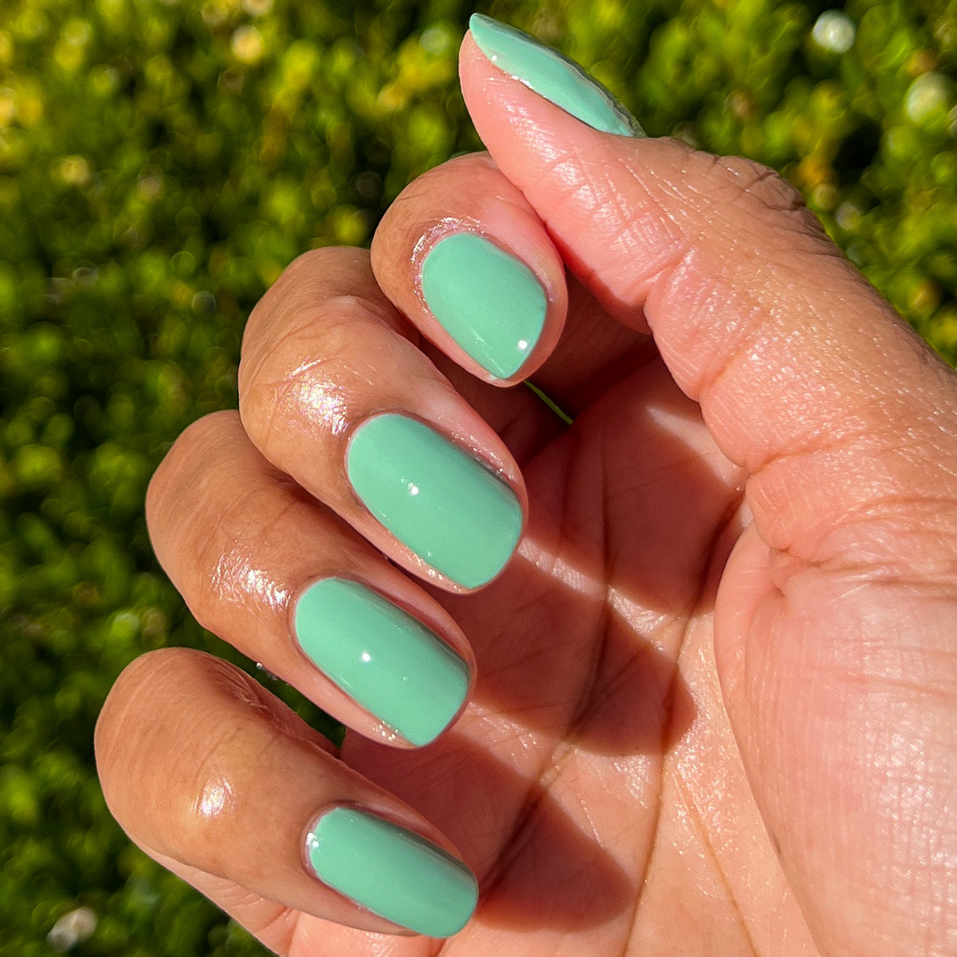 Cucumber Sandwich - Image 9