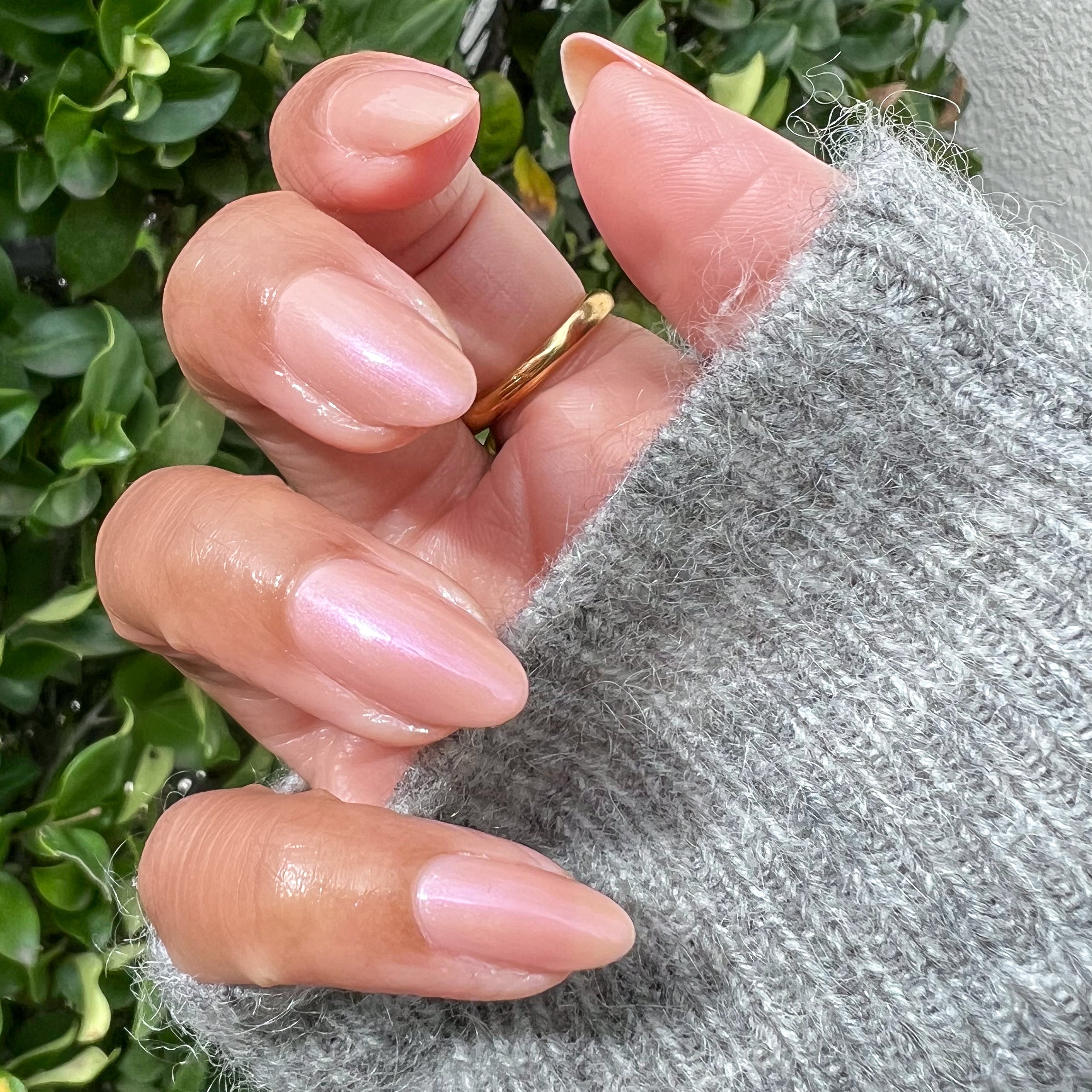 Sandy Scallop - Image 9