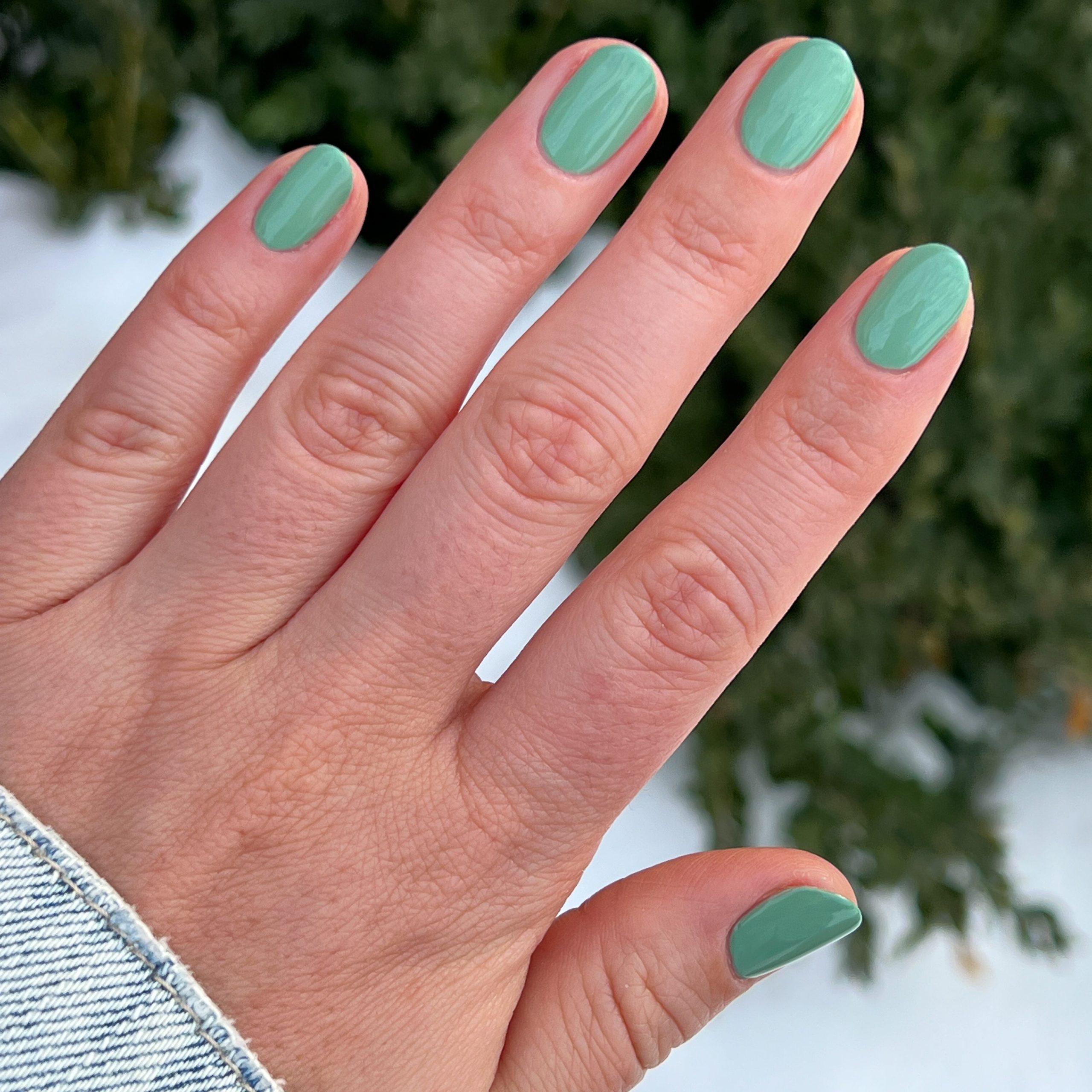 Cucumber Sandwich - Image 10