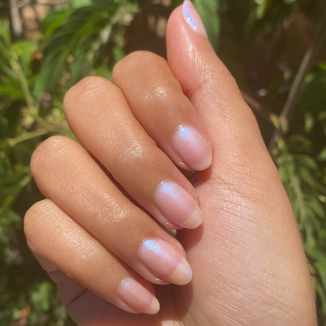 Pink Goldfish - Image 11