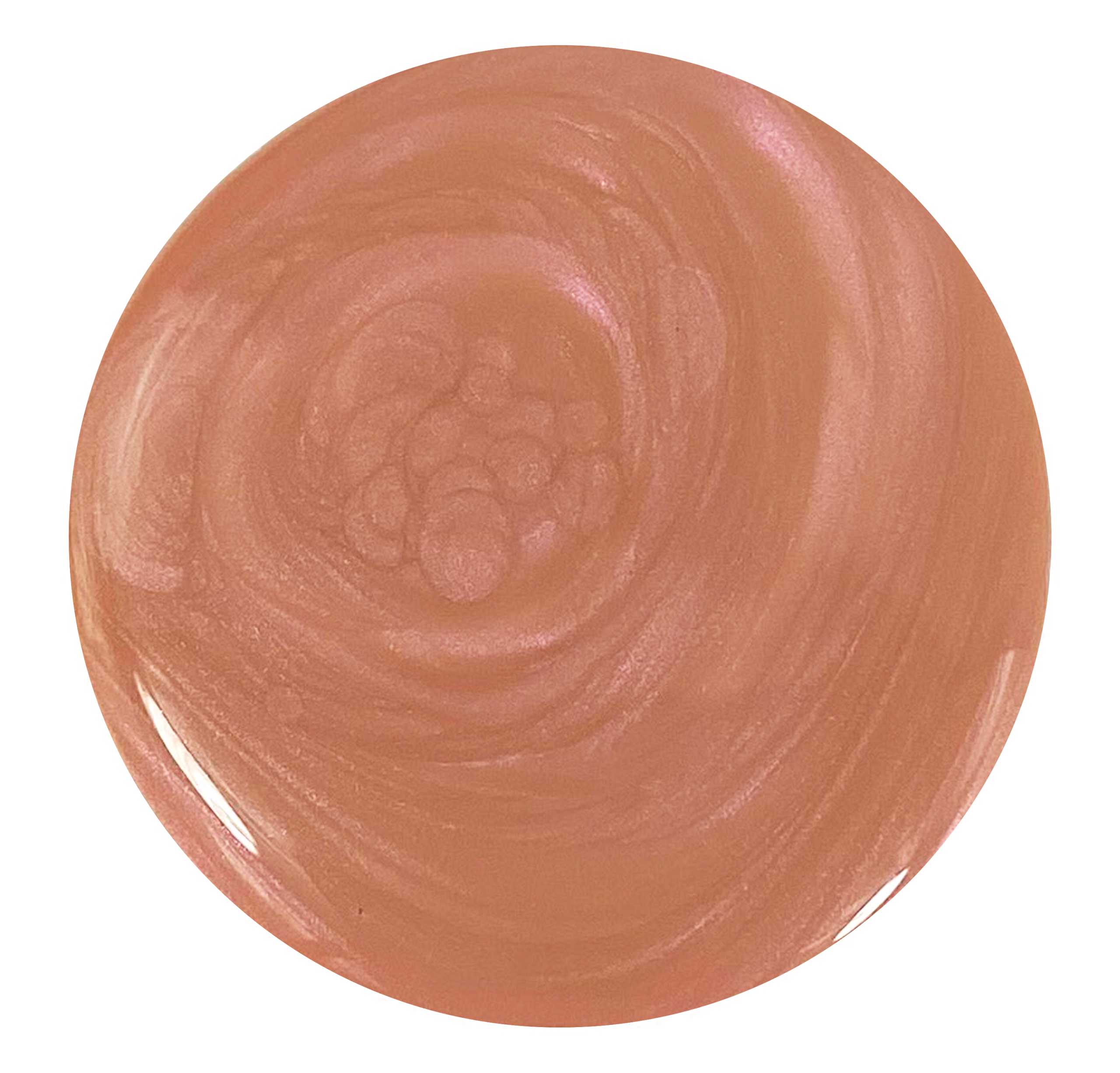 Sandy Scallop - Image 13