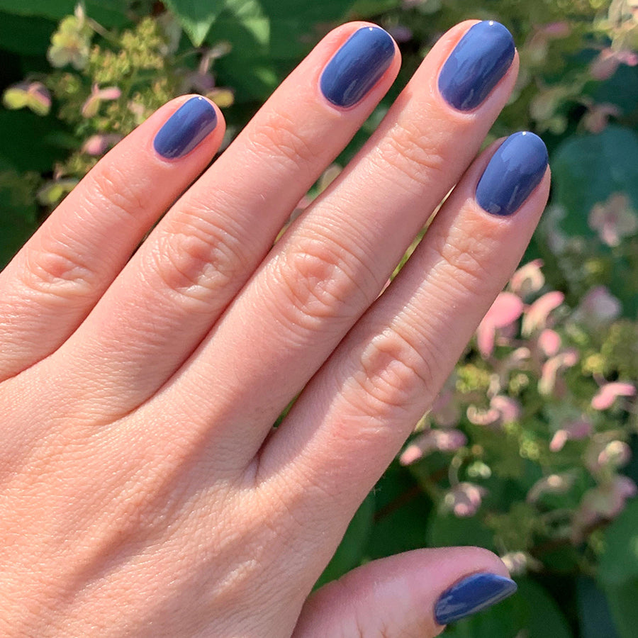 Social Studies - Image 10