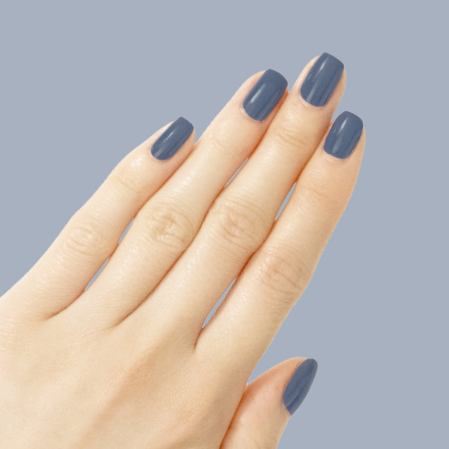 Social Studies - Image 4